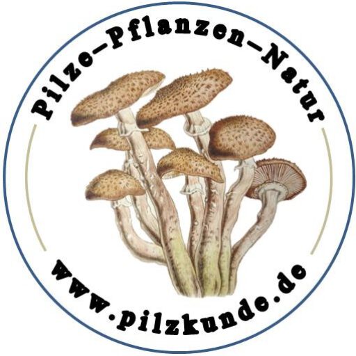 Logo Pilzschule Schwäbischer Wald